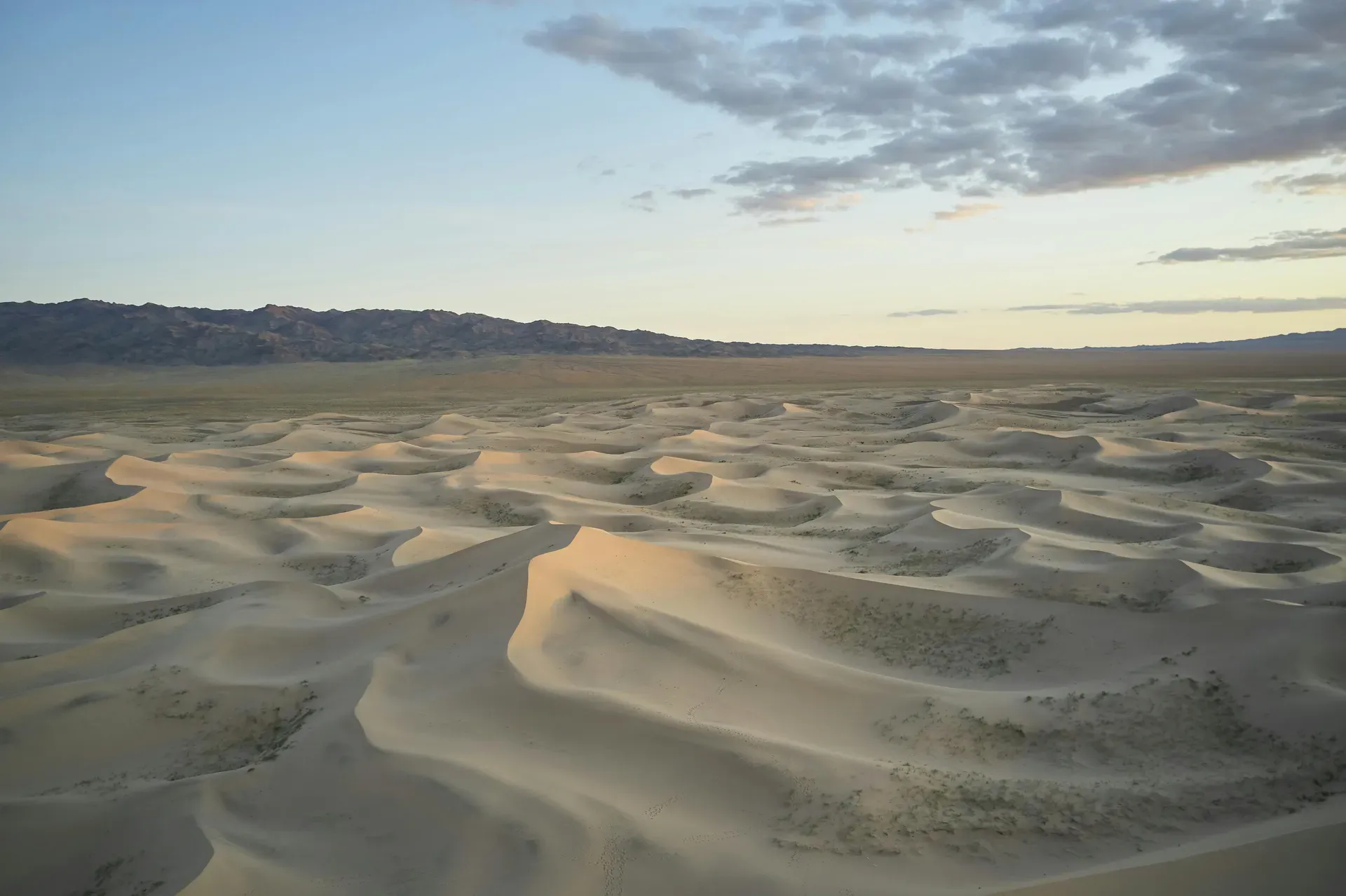 Gobi Desert