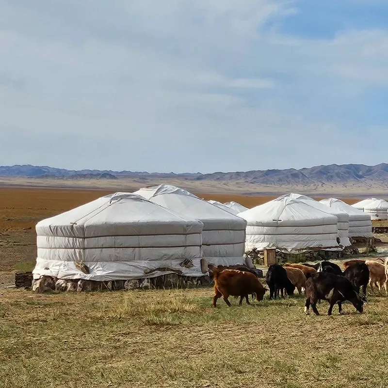 Gobi Desert view